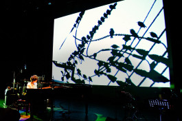 orleanlaiproject